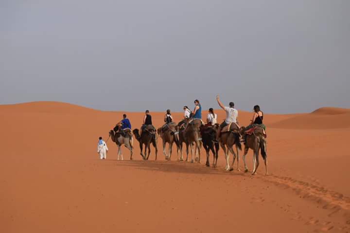 caravana de dromedarios por el desierto de Marruecos