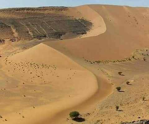 Ouzina desert